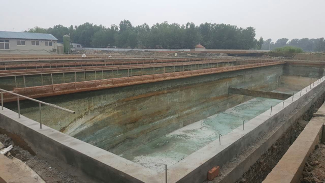 1533887037508893.jpg 1.jpg