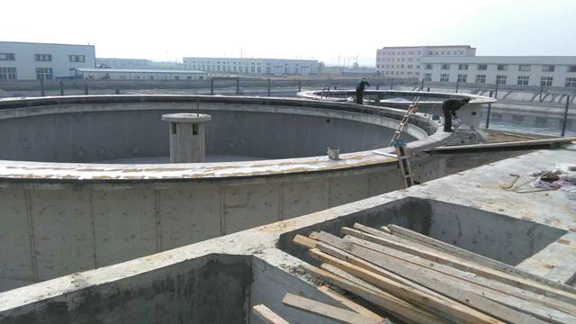 1533887584133226.jpg 11.jpg